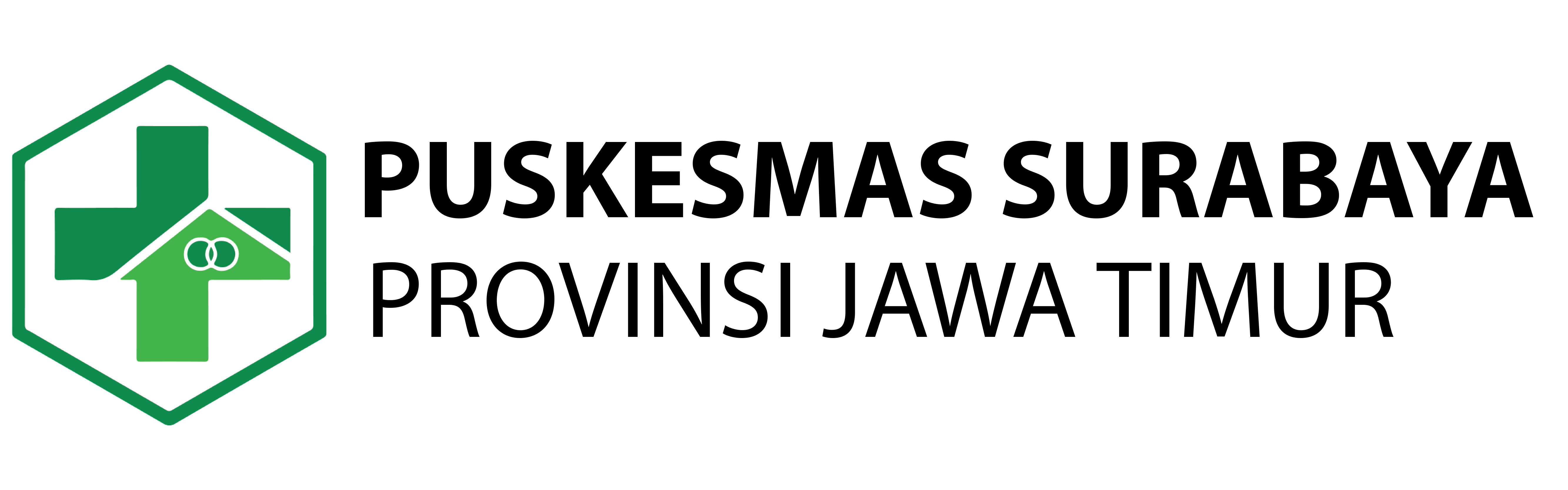 Logo Puskesmas